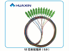 12芯束状尾纤（0.9）