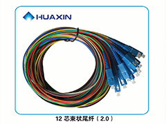 12芯束状尾纤（2.0）